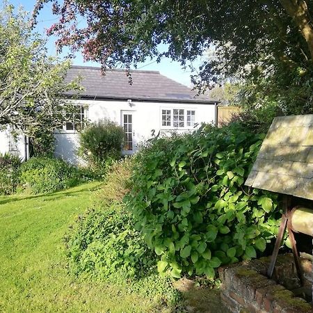 Cozy Country Cottage With Beautiful Rural Views Newquay  Ngoại thất bức ảnh