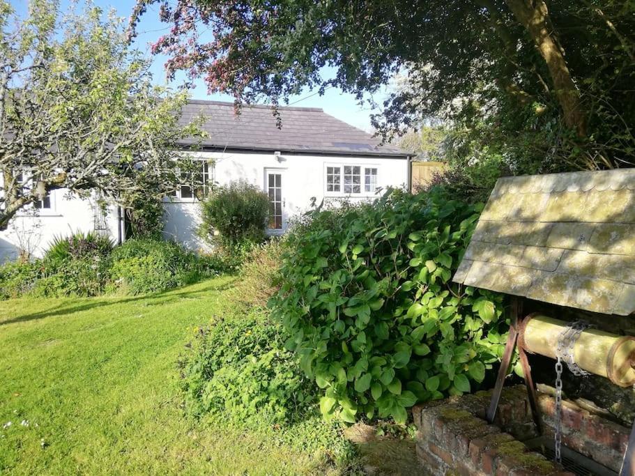Cozy Country Cottage With Beautiful Rural Views Newquay  Ngoại thất bức ảnh